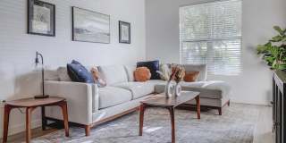 Park Lane Village Gallery 6