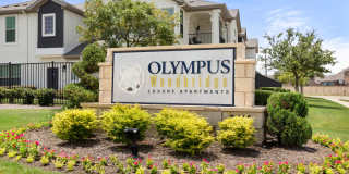 Olympus Woodbridge Gallery 33