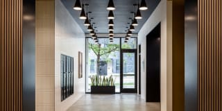 Cavalier at the Crosswalks Gallery 6