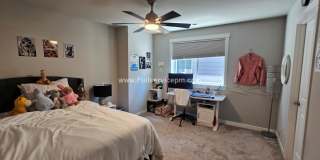 Newer Incredible home with all the amenities! Gallery 44
