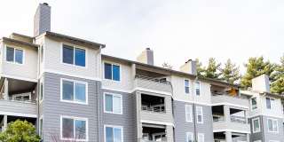 Skyline at Murrayhill Gallery 42