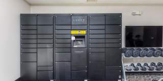 The Village at Town Center Gallery 26