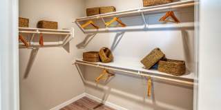 Allora Surprise Gallery 36