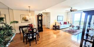 SHORT TERM TURNKEY FURNISHED DOWNTOWN AT THE RENAISSANCE Gallery 40