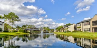 Cypress Run Gallery 14