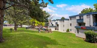 Arvada Green Gallery 16