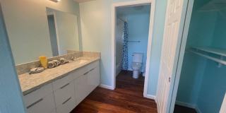 Renovated 3 UNITS right next to UH Manoa dormitory!! Gallery 10