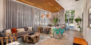 Haven Apartments Gallery 14