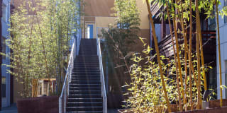 Soma Residences Gallery 8