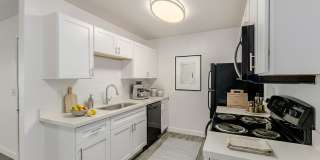 Corona Del Sol Gallery 3