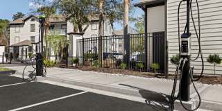 Vinoy St Johns Gallery 24