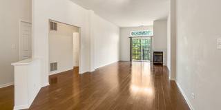 2409 Wilton Lane Gallery 7