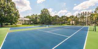 Highland Ridge Gallery 7