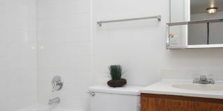 Hyde Park North Gallery 11