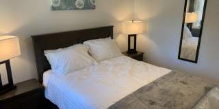 7344 N VIA CAMELLO DEL NORTE Gallery 24