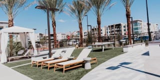 Tanager Tanager Gallery 13