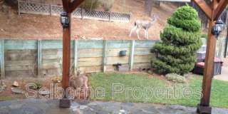 6252 Ridgemont Dr Gallery 8