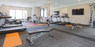 Element Oakwood Gallery 17