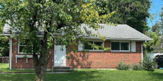 906 GENINE Gallery 1