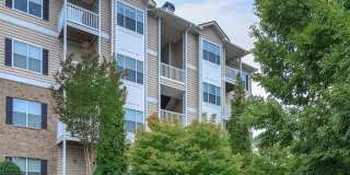 Carrington Park at Lake Lanier Gallery 2