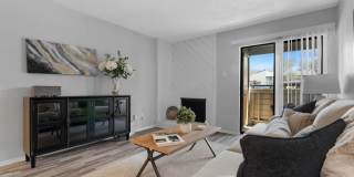 District 2308 Gallery 32