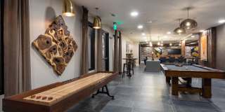 Alta River Oaks Gallery 28