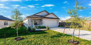 155 Globe Mallow Gallery 1