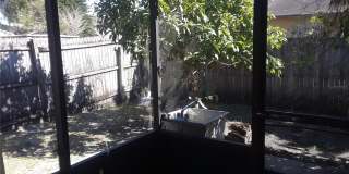 1303 CANDLEWYCK DRIVE Gallery 2