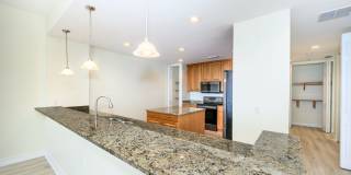 PET FRIENDLY UNFURNISHED ELEVATED PENTHOUSE LIVING WITH PRIVATE ELEVATOR Gallery 17