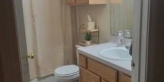 937 Crepe Myrtle Street Gallery 6