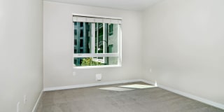 The Lex The Lex Gallery 24