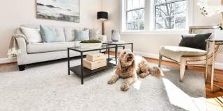 Manor House Apartments Manor House Apartments Gallery 1