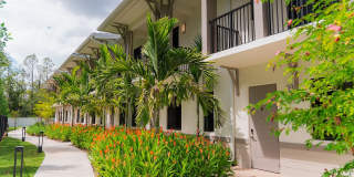 Reva Apartments Gallery 100