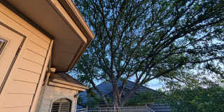 131 Westcourt Lane Gallery 45