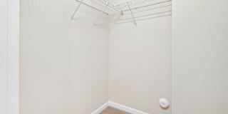 Olympus at Jack Britt Gallery 21