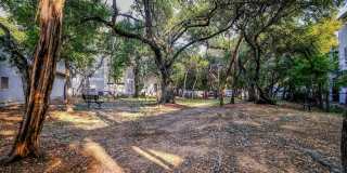 San Marin Gallery 37