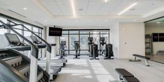 Nolan Mains Gallery 71