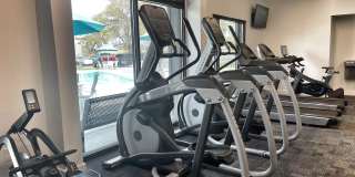 2300 West Apartments 2300 West Apartments Gallery 7