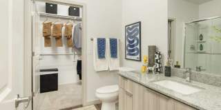 The Moxie Gallery 8
