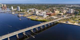 Lexington Palms at the Forum Gallery 42