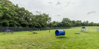 Shoal Creek Gallery 19