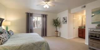 3843 Riviera Drive Gallery 17