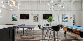 Park at Palmer Gallery 101