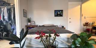 100 Howe Street Gallery 87