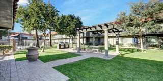Tierra Palms Gallery 90