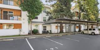 The Hazelwood Gallery 13