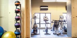 Greenhouse Gallery 13