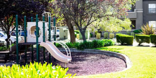 Cobble Oaks Gallery 26