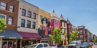 Harvard Village Gallery 84