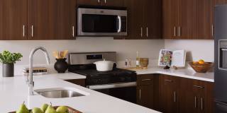 The Metropolitan at 40 Park Gallery 19